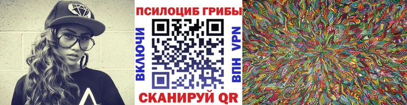 Псилоцибиновые грибы ЛСД  наркотики  Родники 
