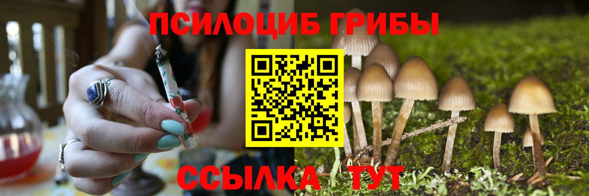 Родники  купить закладку  Псилоцибиновые грибы Psilocybine cubensis  Вход с VPN  Псилоцибиновые грибы прущие грибы 